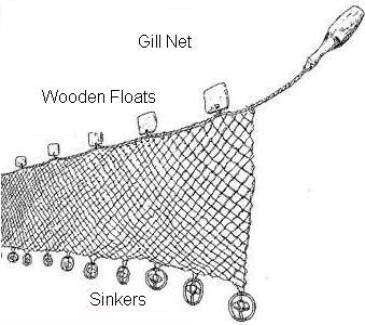 Schematic of Net